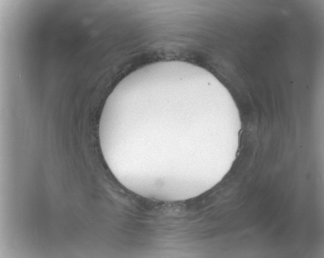 X0000065960865200603241844