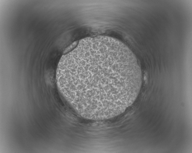 X0000065960867200603241844