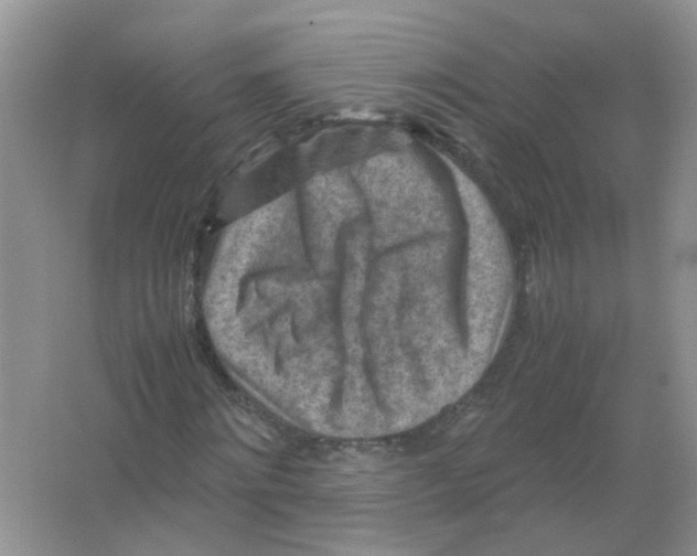 X0000065960868200603241844