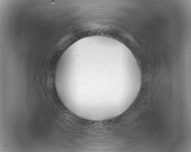 X0000065960869200603241844