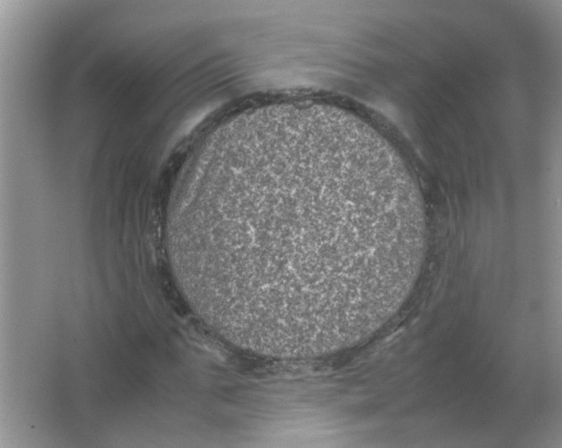 X0000065960871200603241844