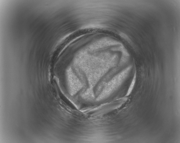 X0000065960872200603241844