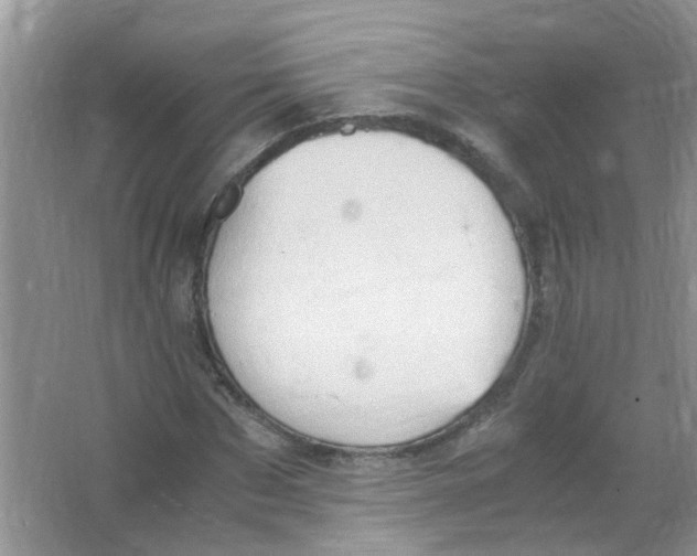 X0000065960873200603241844