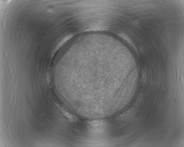 X0000065960874200603241844