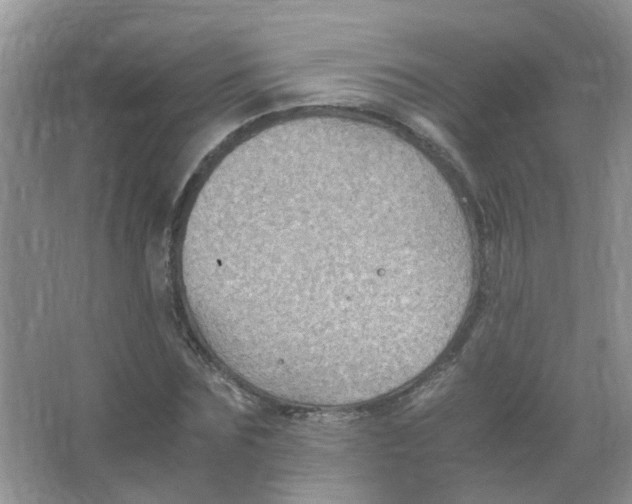 X0000065960875200603241844