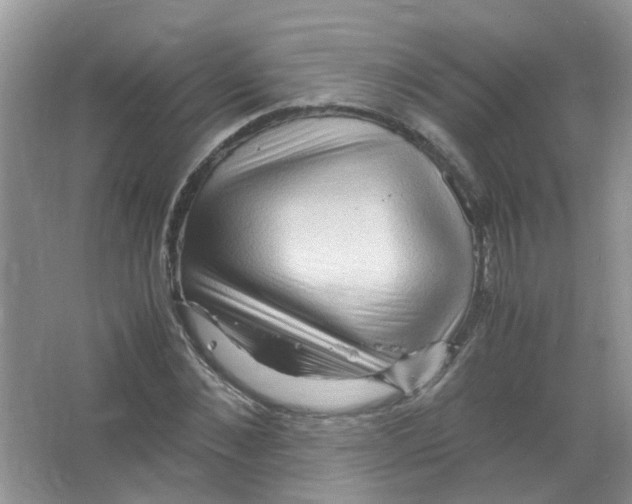 X0000065960876200603241844