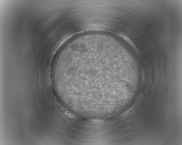 X0000065960878200603241844