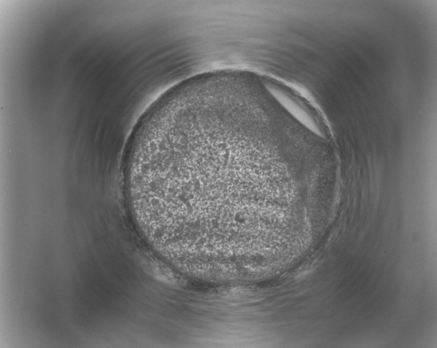 X0000065960879200603241844