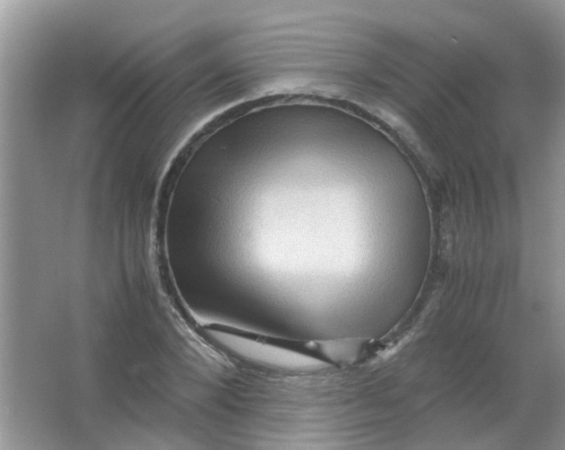 X0000065960880200603241844