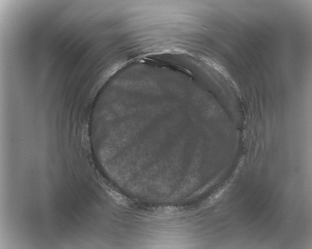 X0000065960881200603241844