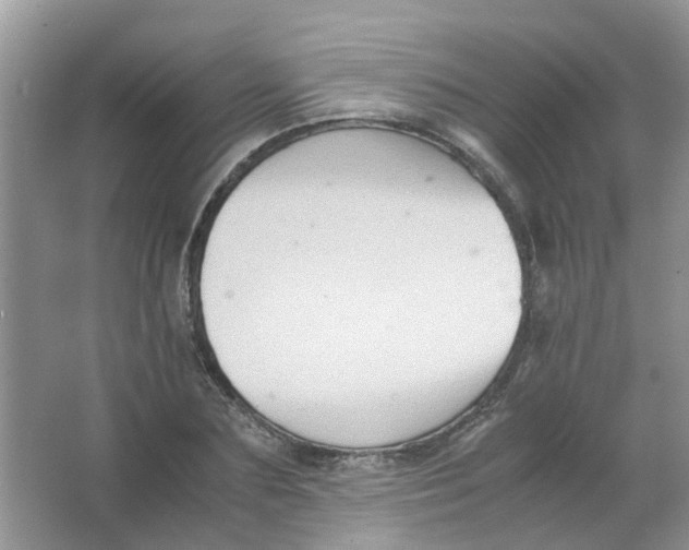 X0000065960883200603241844