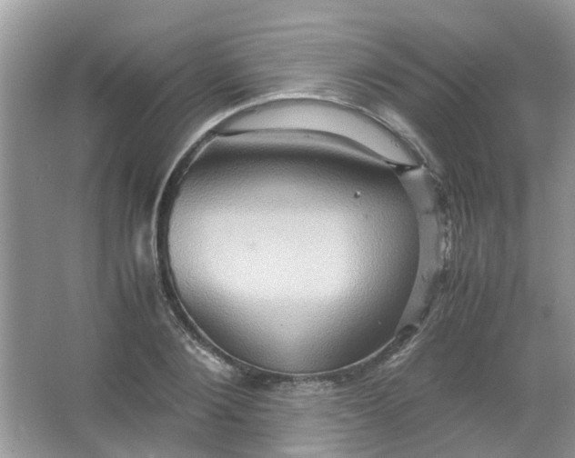 X0000065960884200603241844