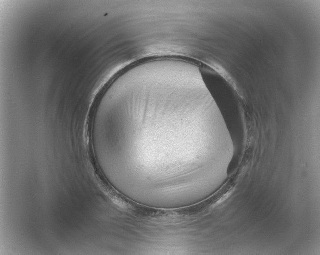 X0000065960885200603241844