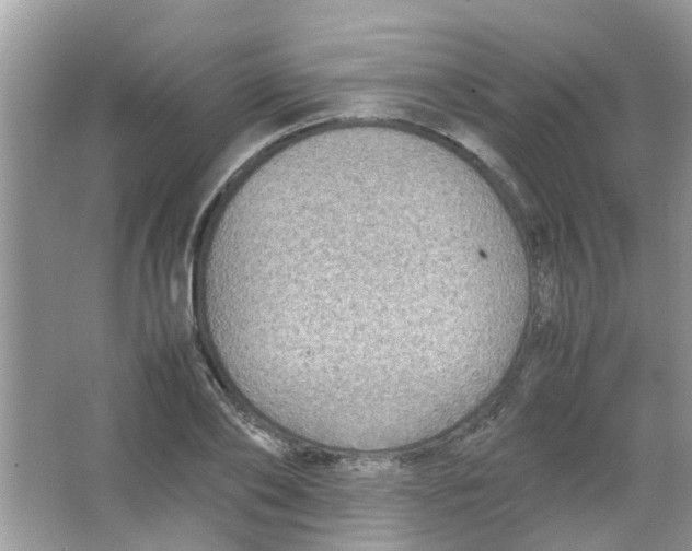 X0000065960886200603241844