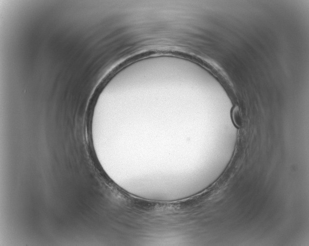 X0000065960887200603241844