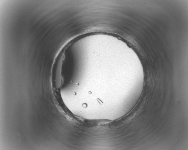 X0000065960888200603241844