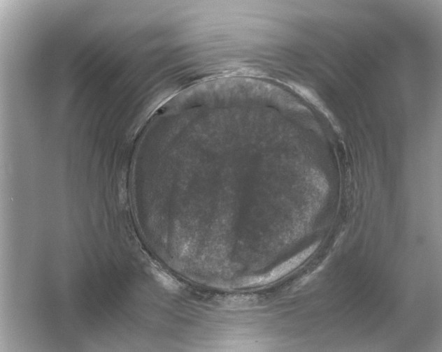 X0000065960889200603241844