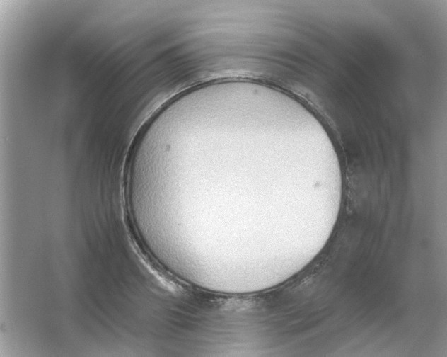 X0000065960890200603241844