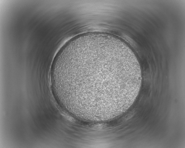 X0000065960891200603241844