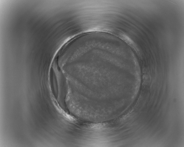 X0000065960892200603241844