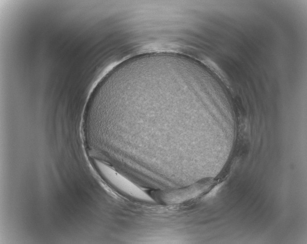 X0000065960893200603241844