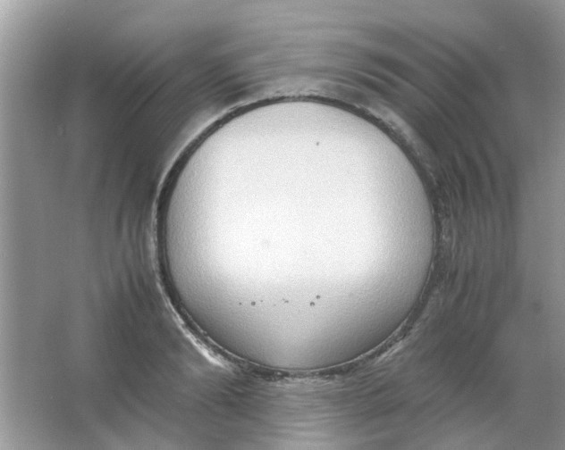 X0000065960894200603241844