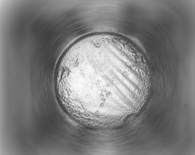 X0000065960895200603241844