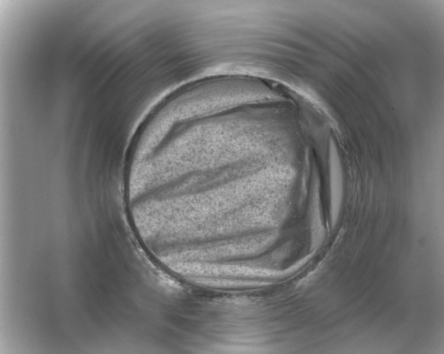 X0000065960896200603241844