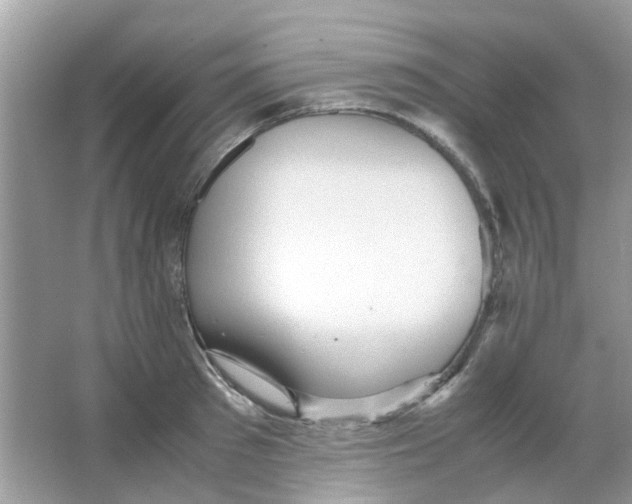 X0000065960897200603241844