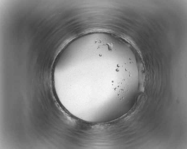 X0000065960898200603241844