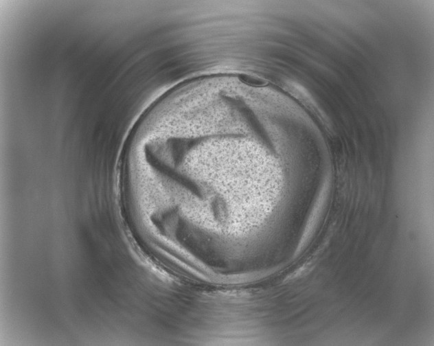 X0000065960900200603241844