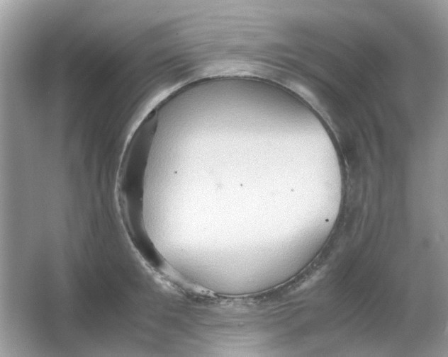 X0000065960901200603241844