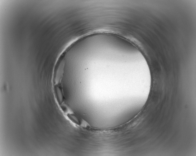 X0000065960902200603241844