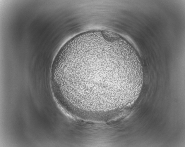 X0000065960903200603241844