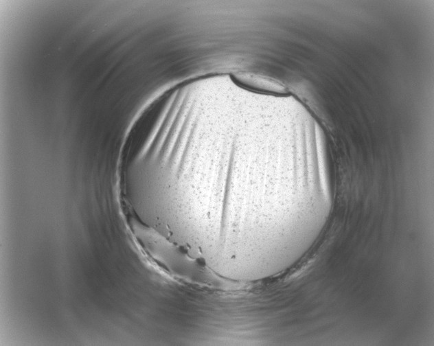 X0000065960904200603241844