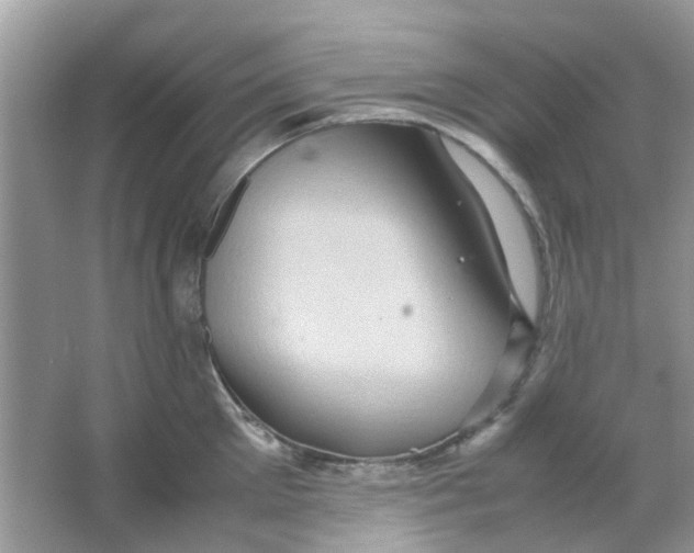 X0000065960905200603241844