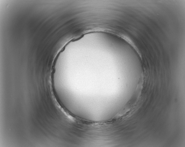 X0000065960906200603241844