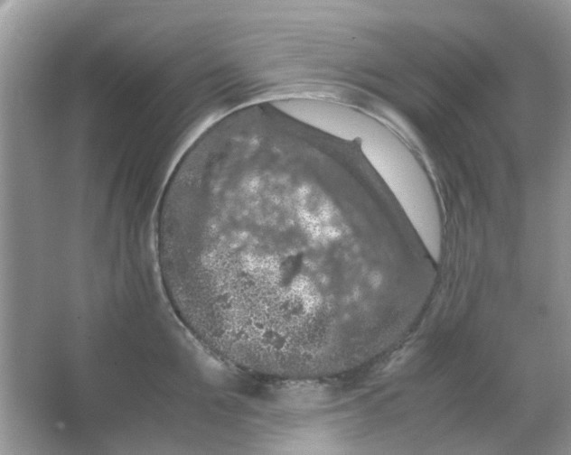 X0000065960907200603241844