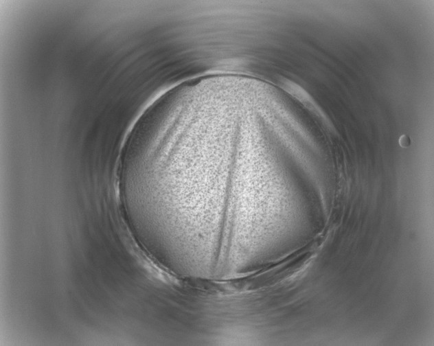 X0000065960908200603241844