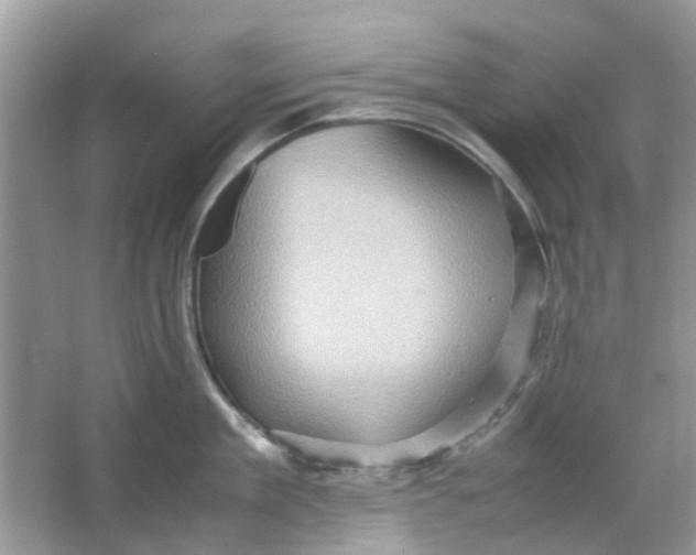 X0000065960909200603241844