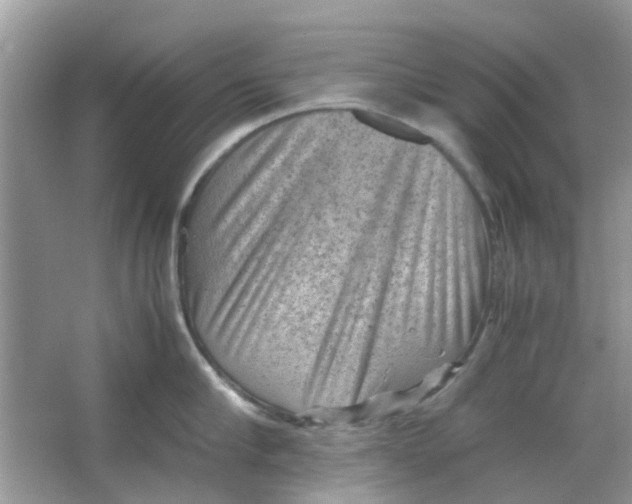 X0000065960910200603241844