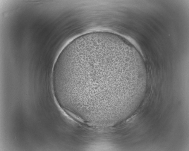 X0000065960911200603241844