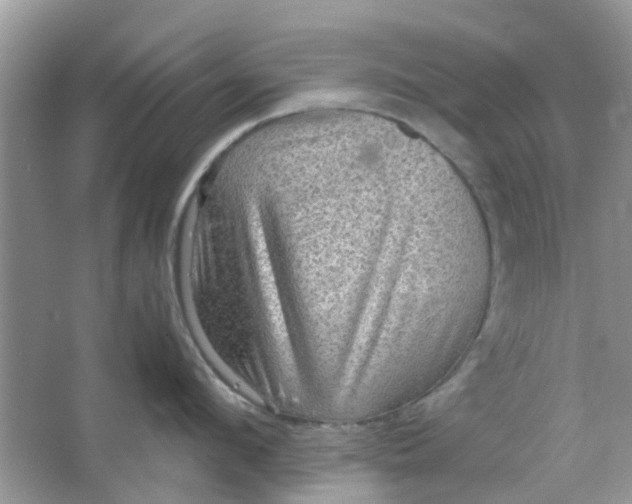 X0000065960912200603241844