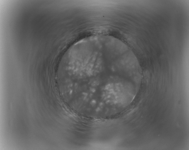 X0000065960913200603241843