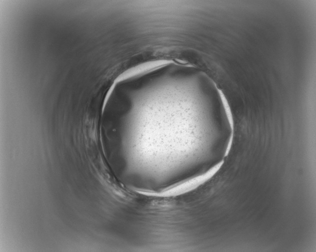 X0000065960914200603241843