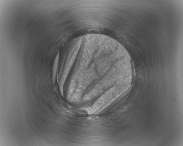 X0000065960916200603241843