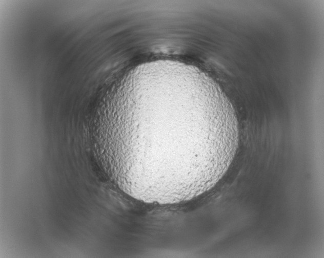 X0000065960917200603241843