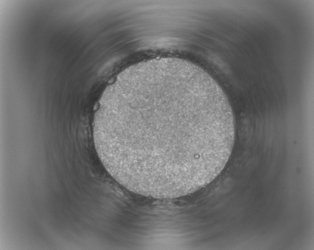 X0000065960918200603241843