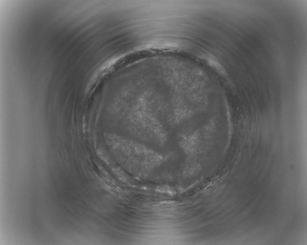 X0000065960920200603241843