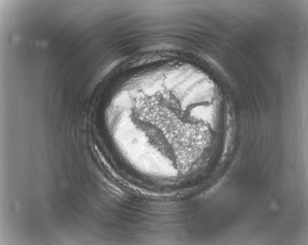 X0000065960921200603241843